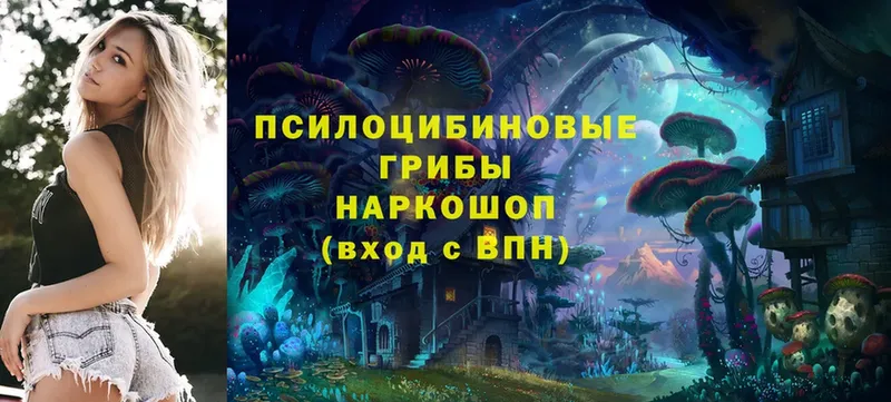 Псилоцибиновые грибы Psilocybe  Белинский 